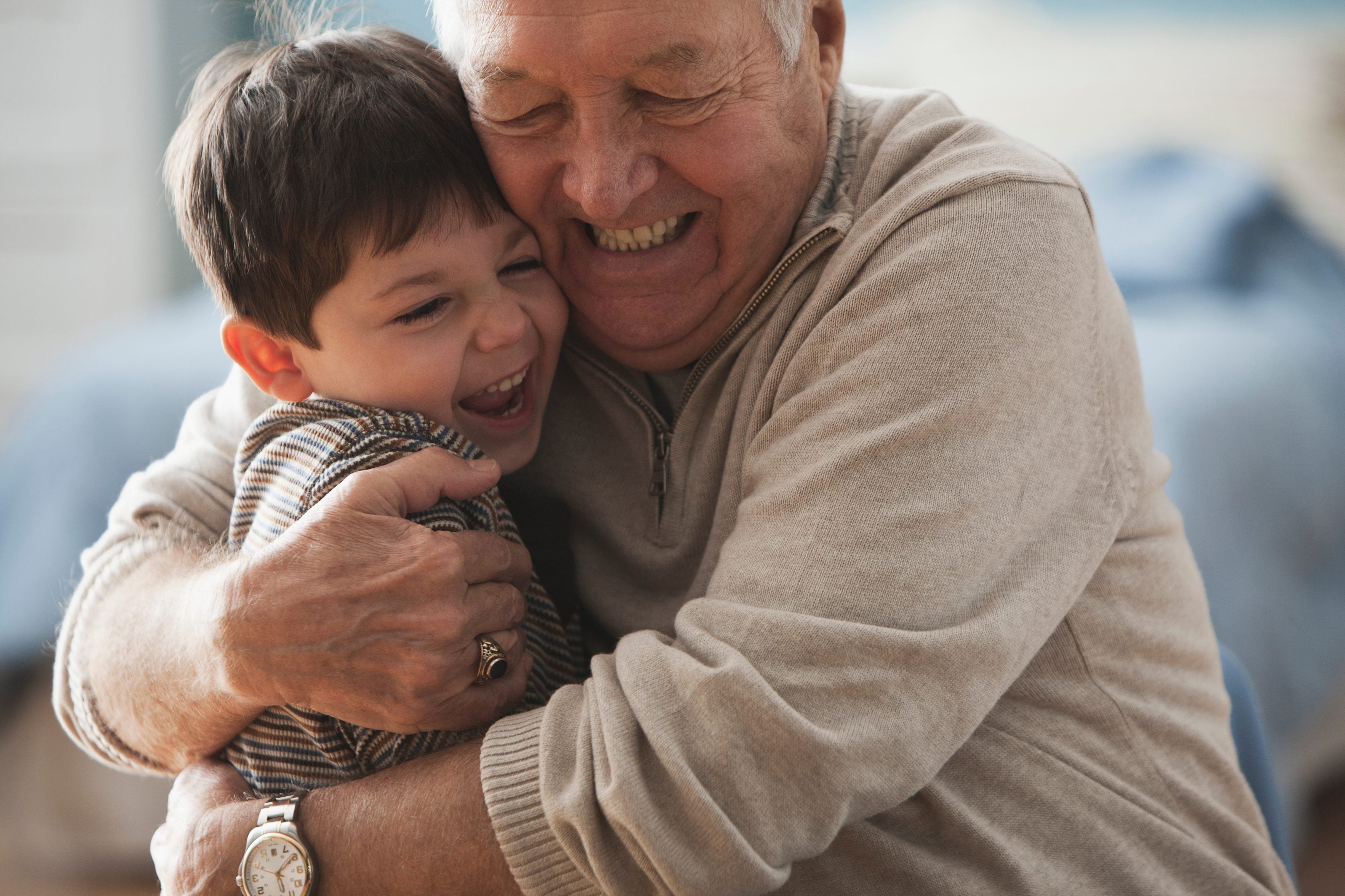 useful description of image if informative and not decoration only.