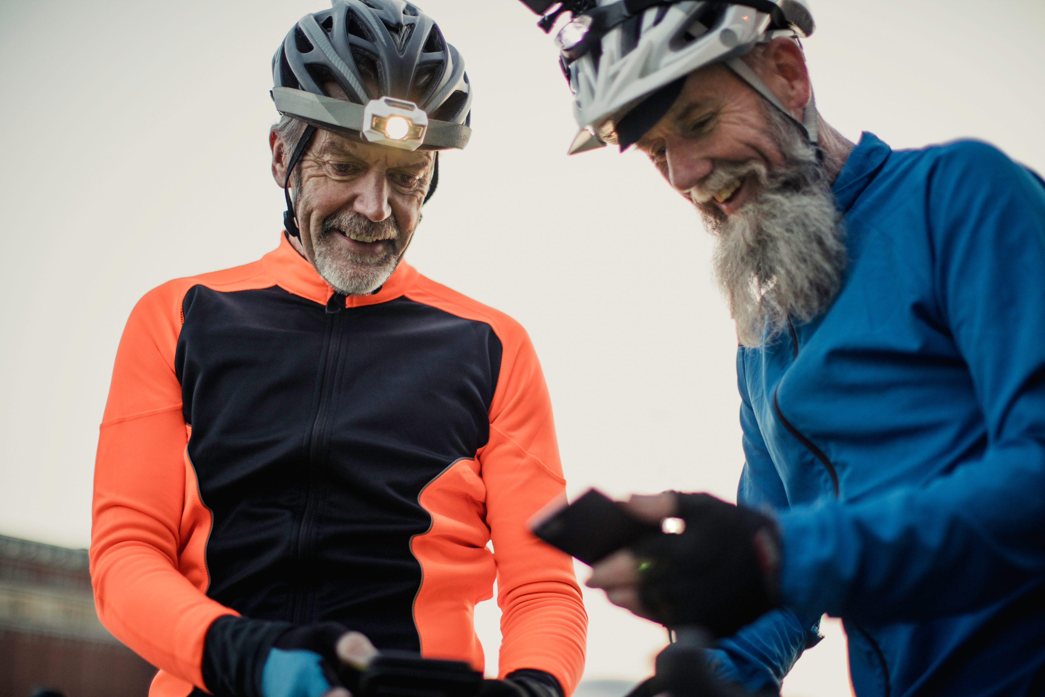 useful description of image if informative and not decoration only.